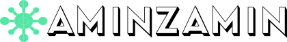 aminzamin.com